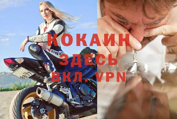 spice Алзамай