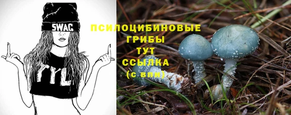 кокс Алексин