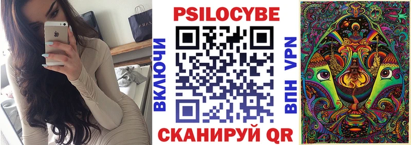 Галлюциногенные грибы Psilocybine cubensis  закладка  Ликино-Дулёво 